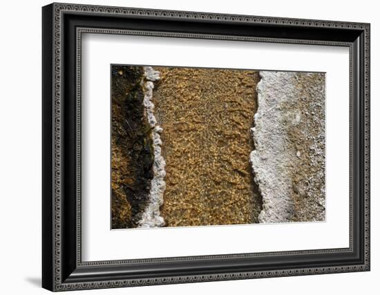 USA, Wyoming, Yellowstone National Park, Black Sand Basin. Volcanic hot water stream.-Cindy Miller Hopkins-Framed Photographic Print