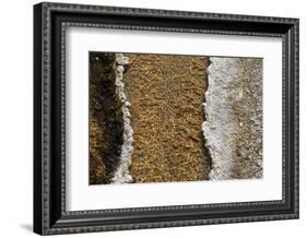 USA, Wyoming, Yellowstone National Park, Black Sand Basin. Volcanic hot water stream.-Cindy Miller Hopkins-Framed Photographic Print