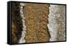 USA, Wyoming, Yellowstone National Park, Black Sand Basin. Volcanic hot water stream.-Cindy Miller Hopkins-Framed Stretched Canvas