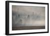 USA, Wyoming, Yellowstone National Park. Early morning fog with light rays through the trees.-Cindy Miller Hopkins-Framed Photographic Print