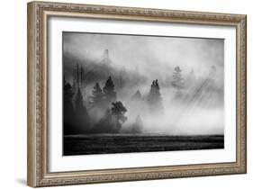 USA, Wyoming, Yellowstone National Park. Early morning fog with light rays through the trees.-Cindy Miller Hopkins-Framed Photographic Print