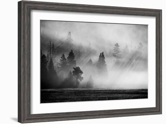 USA, Wyoming, Yellowstone National Park. Early morning fog with light rays through the trees.-Cindy Miller Hopkins-Framed Photographic Print