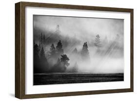 USA, Wyoming, Yellowstone National Park. Early morning fog with light rays through the trees.-Cindy Miller Hopkins-Framed Photographic Print