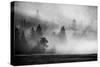 USA, Wyoming, Yellowstone National Park. Early morning fog with light rays through the trees.-Cindy Miller Hopkins-Stretched Canvas