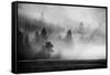USA, Wyoming, Yellowstone National Park. Early morning fog with light rays through the trees.-Cindy Miller Hopkins-Framed Stretched Canvas
