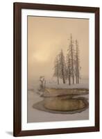 USA, Wyoming, Yellowstone National Park. Foggy Winter Scenic-Jaynes Gallery-Framed Photographic Print