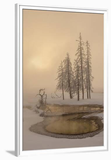 USA, Wyoming, Yellowstone National Park. Foggy Winter Scenic-Jaynes Gallery-Framed Premium Photographic Print