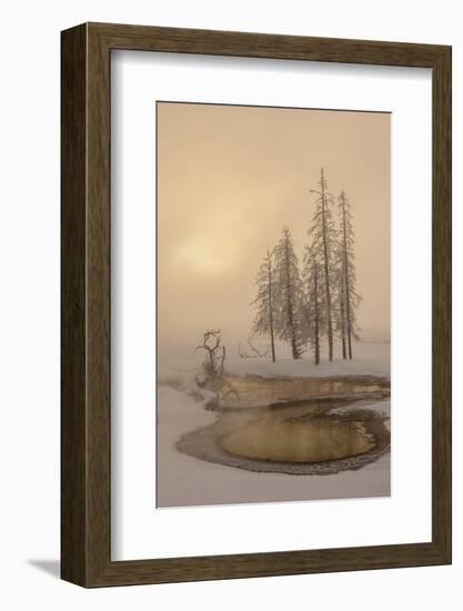 USA, Wyoming, Yellowstone National Park. Foggy Winter Scenic-Jaynes Gallery-Framed Photographic Print