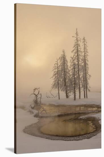 USA, Wyoming, Yellowstone National Park. Foggy Winter Scenic-Jaynes Gallery-Stretched Canvas