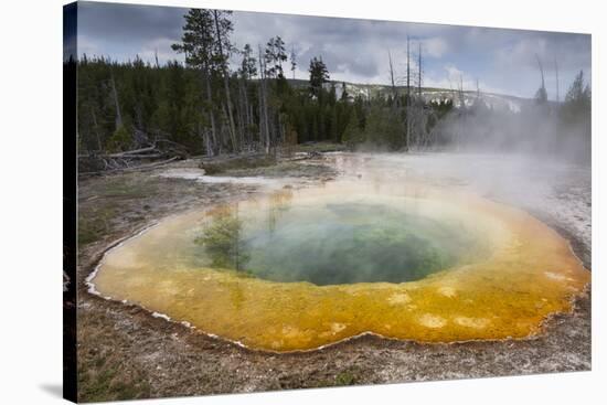 USA, Wyoming, Yellowstone National Park. Morning Glory Pool landscape.-Jaynes Gallery-Stretched Canvas