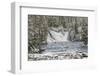 USA, Wyoming, Yellowstone National Park. Snowy landscape with Lewis Falls and Lewis River.-Jaynes Gallery-Framed Photographic Print