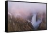 USA, Wyoming, Yellowstone National Park. Sunrise fog around Lower Yellowstone Falls.-Jaynes Gallery-Framed Stretched Canvas