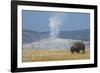 USA, Wyoming, Yellowstone National Park, Upper Geyser Basin. Lone male American bison-Cindy Miller Hopkins-Framed Photographic Print