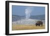 USA, Wyoming, Yellowstone National Park, Upper Geyser Basin. Lone male American bison-Cindy Miller Hopkins-Framed Photographic Print