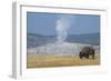 USA, Wyoming, Yellowstone National Park, Upper Geyser Basin. Lone male American bison-Cindy Miller Hopkins-Framed Photographic Print