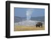 USA, Wyoming, Yellowstone National Park, Upper Geyser Basin. Lone male American bison-Cindy Miller Hopkins-Framed Photographic Print