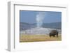 USA, Wyoming, Yellowstone National Park, Upper Geyser Basin. Lone male American bison-Cindy Miller Hopkins-Framed Photographic Print