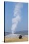 USA, Wyoming, Yellowstone National Park, Upper Geyser Basin. Lone male American bison-Cindy Miller Hopkins-Stretched Canvas