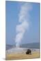 USA, Wyoming, Yellowstone National Park, Upper Geyser Basin. Lone male American bison-Cindy Miller Hopkins-Mounted Photographic Print