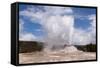 USA, Yellowstone National Park, Castle Geyser-Catharina Lux-Framed Stretched Canvas