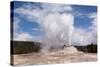 USA, Yellowstone National Park, Castle Geyser-Catharina Lux-Stretched Canvas