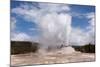 USA, Yellowstone National Park, Castle Geyser-Catharina Lux-Mounted Photographic Print