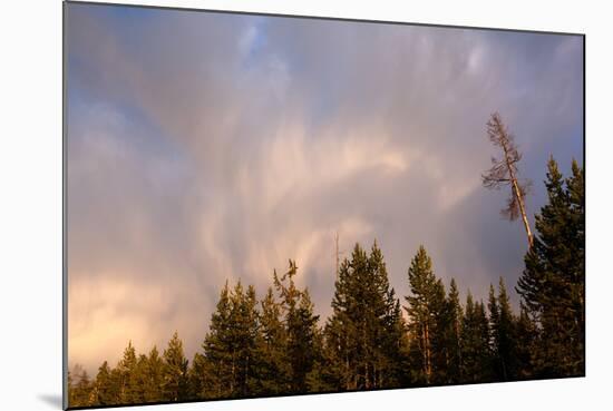 USA, Yellowstone National Park, Cloud-Catharina Lux-Mounted Photographic Print