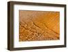 USA, Yellowstone National Park, Geyser Hill-Catharina Lux-Framed Photographic Print