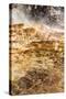 USA, Yellowstone National Park, Mammoth Hot Springs, Main Terrace-Catharina Lux-Stretched Canvas