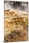 USA, Yellowstone National Park, Mammoth Hot Springs, Main Terrace-Catharina Lux-Mounted Photographic Print