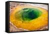 USA, Yellowstone National Park, Morning Glory Pool-Catharina Lux-Framed Stretched Canvas