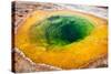 USA, Yellowstone National Park, Morning Glory Pool-Catharina Lux-Stretched Canvas