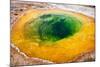 USA, Yellowstone National Park, Morning Glory Pool-Catharina Lux-Mounted Photographic Print