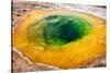USA, Yellowstone National Park, Morning Glory Pool-Catharina Lux-Stretched Canvas