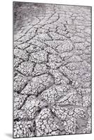 USA, Yellowstone National Park, Mud Volcano Area-Catharina Lux-Mounted Photographic Print