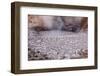 USA, Yellowstone National Park, Mud Volcano Area-Catharina Lux-Framed Photographic Print