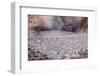 USA, Yellowstone National Park, Mud Volcano Area-Catharina Lux-Framed Photographic Print