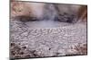 USA, Yellowstone National Park, Mud Volcano Area-Catharina Lux-Mounted Photographic Print