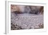 USA, Yellowstone National Park, Mud Volcano Area-Catharina Lux-Framed Photographic Print