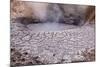 USA, Yellowstone National Park, Mud Volcano Area-Catharina Lux-Mounted Photographic Print