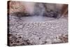 USA, Yellowstone National Park, Mud Volcano Area-Catharina Lux-Stretched Canvas