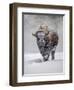 USA, Yellowstone National Park. One bison during winter.-George Theodore-Framed Photographic Print