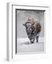 USA, Yellowstone National Park. One bison during winter.-George Theodore-Framed Photographic Print