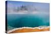 USA, Yellowstone National Park, West Thumb Geyser Basin, Black Pool-Catharina Lux-Stretched Canvas