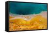 USA, Yellowstone National Park, West Thumb Geyser Basin, Black Pool-Catharina Lux-Framed Stretched Canvas