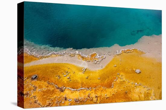 USA, Yellowstone National Park, West Thumb Geyser Basin, Black Pool-Catharina Lux-Stretched Canvas