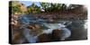 USA, Zion National Park, Panorama, Watchman and Virgin River-Catharina Lux-Stretched Canvas