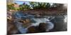 USA, Zion National Park, Panorama, Watchman and Virgin River-Catharina Lux-Mounted Photographic Print