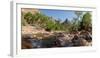 USA, Zion National Park, Panorama, Watchman and Virgin River-Catharina Lux-Framed Photographic Print