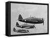 USAAF P-47 Thunderbolt Fighter Planes in Flight-null-Framed Stretched Canvas